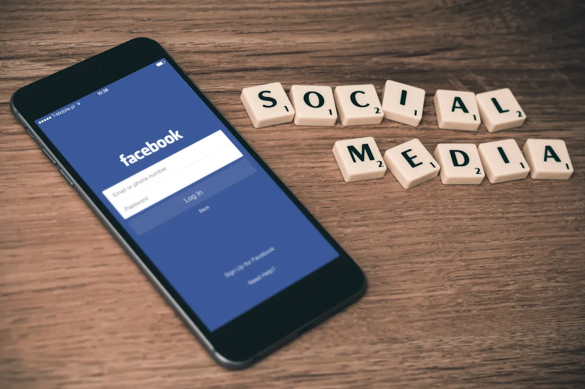 SEO araştırma ekranı